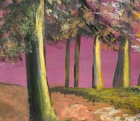 Exhibition by Gabrielle McGarrigle  at the SG Artshop