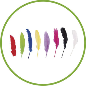 FEATHERS 320