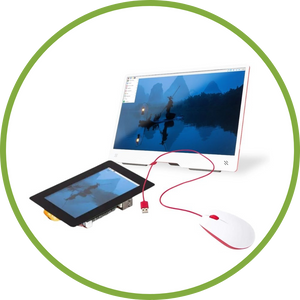 RASPBERRY PI DISPLAY & INPUT DEVICES