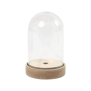 Bell Jar on Wooden Stand 12.5 x 8cm