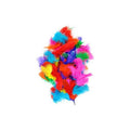 Feathers Assorted Colours 250 Pack