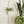 Les Chapineries Petite Fleur DIY Kit - Macreame Plant Hanger