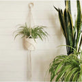 Les Chapineries Petite Fleur DIY Kit - Macreame Plant Hanger