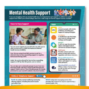 Mental Health Support (UK Version) Gloss Daydream Wallchart
