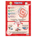 DD WC Teeth Lam Del