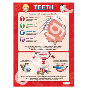 DD WC Teeth Lam Del