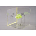 Model for Projection of body
