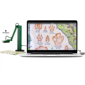 IPEVO VZ-R A3 Visualiser HDMI & USB-C 8mp