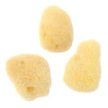 Jakar Artist Natural Sea SpongeS 10 Pack