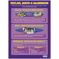 Taylor, Mayo & McGregor Gloss Daydream Wallchart