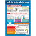 Analysing Business Performance Laminated Daydream Wallchart