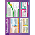 Economic Climate Laminated Daydream Wallchart