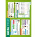 Cash Flow Laminated Daydream Wallchart