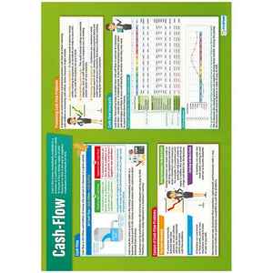Cash Flow Laminated Daydream Wallchart