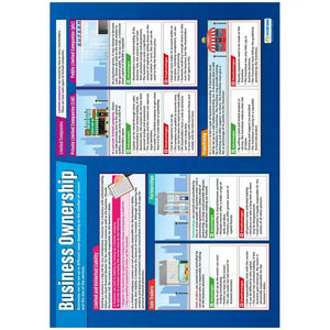 Business Ownership Laminated Daydream Wallchart
