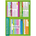 Business Ethics and the Environment Gloss Daydream Wallchart