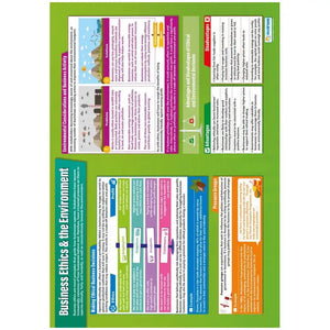 Business Ethics and the Environment Gloss Daydream Wallchart