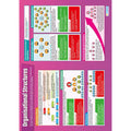 Organisation Structure Laminated Daydream Wallchart