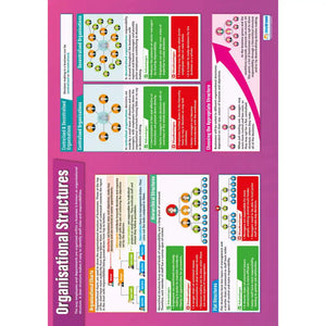 Organisation Structure Gloss Daydream Wallchart