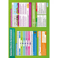 Business & The Environment Laminated Daydream Wallchart