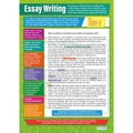 Essay Writing Laminated Daydream Wallchart