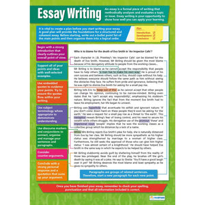 Essay Writing Laminated Daydream Wallchart