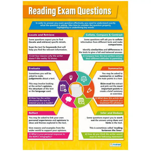 Reading Exam Questions Laminated Daydream Wallchart