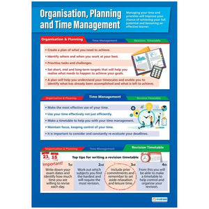 Organisation Planning Daydream Wallchart Gloss