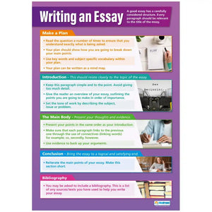 DD WC Writing an Essay Lam
