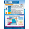 Flooding Laminated Daydream Wallchart