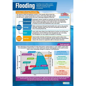 Flooding Laminated Daydream Wallchart
