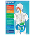 DD WC Digestion -web