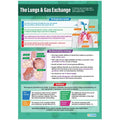 DD WC Lungs - DNR24