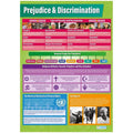 Prejudice & Discrimination Daydream Wallchart Gloss