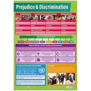 Prejudice & Discrimination Daydream Wallchart Gloss