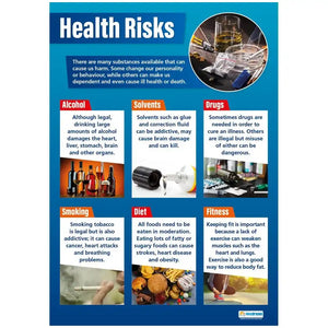Health Risks Daydream Wallchart Gloss