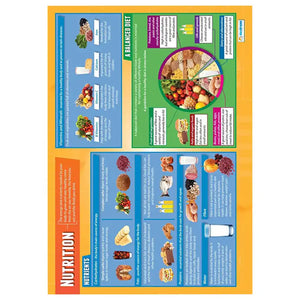 Nutrition Gloss Daydream Wallchart