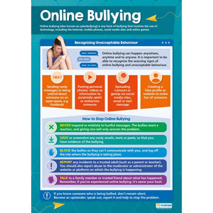 DD WC Online Bullying