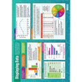 Displaying Data Laminated Daydream Wallchart