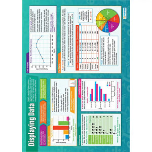 Displaying Data Laminated Daydream Wallchart