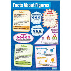 Facts about Figures Laminated Daydream Wallcharts