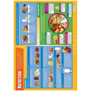 Nutrition Laminated Daydream Wallchart