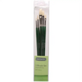 Elements Oil Colour Brushes 5 Set