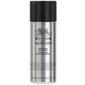 W&N Professional Aerosol Satin Varnish 400ml