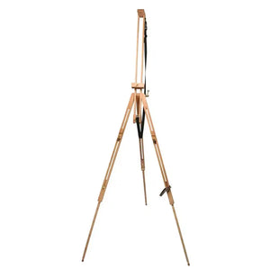 Daler Rowney St Pauls Fields Easel