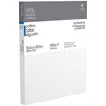 W&N Professional Cotton Canvas 10x12inch