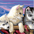 Painting by Numbers Large  Huskies