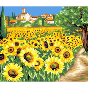 Painting by Numbers Large  Sunflowers obs25