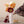 Starter Craft Kit - Crepe Paper Flowers