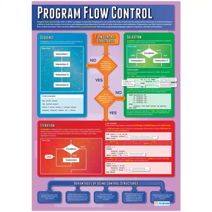 Program Flow Control Gloss Daydream Wallchart